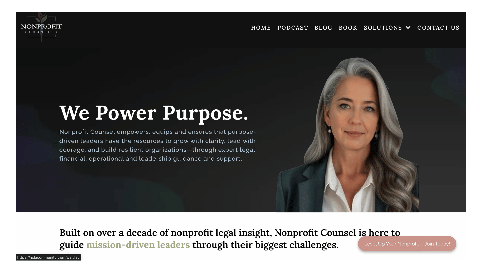 NonProfit Website 1